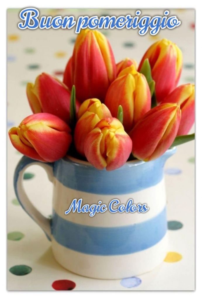 Buon pomeriggio con i fiori tulipani