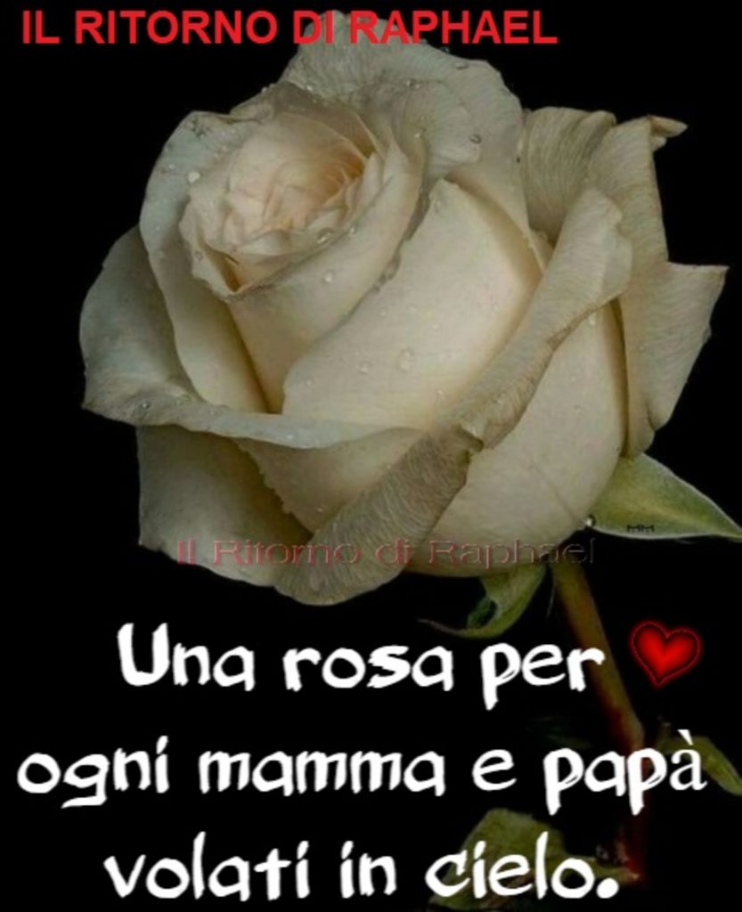 Una rosa per ogni mamma e papá volati in cielo.